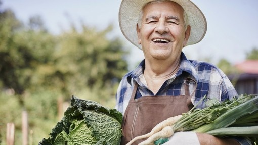 Farmer smiling holding a cabbage and parsnips