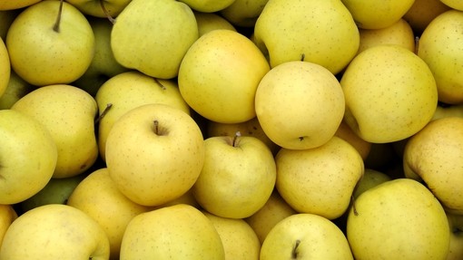 A heap of juicy golden delicious apples