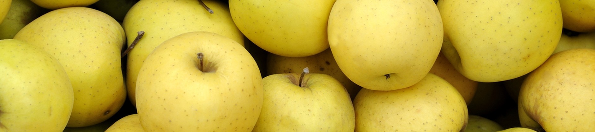 A heap of juicy golden delicious apples