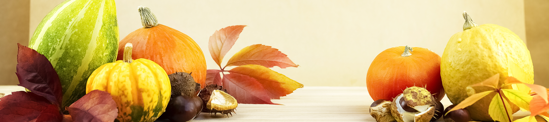 Pumpkins of different sizes arranges around red autumn leaves